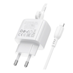 Купити Мережевий Зарядний Пристрій Borofone BAS43A 1USB-C PD/QC 20W+Type-C to Lightning, 5