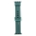 Купить Ремешок для Apple Watch Band Silicone Shine 38/40/41 mm Millitary Green