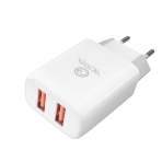 Купити Мережевий Зарядний Пристрій Ridea RW-21011 Element Duo 2USB 2.1 A, 6