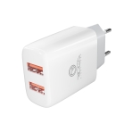 Купити Мережевий Зарядний Пристрій Ridea RW-21011 Element Duo 2USB 2.1 A, 8