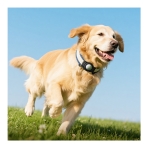 Купити Розумний Брелок Hoco E91C для животных for IP, 11