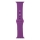Купити Ремінець для Apple Watch Band Silicone One-Piece Size-S 38/40/41 mm 43.Grape