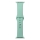 Купити Ремінець для Apple Watch Band Silicone One-Piece Size-S 38/40/41 mm 59.Marine Green
