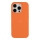 Купити Чохол Silicone Case Full Size (AA) для iPhone 16 Pro 72.Kumquat