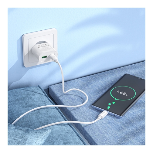 Купить Сетевое Зарядное Устройство Hoco C109A 1USB-C/1USB PD/QC 20W, 8