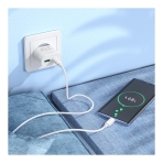 Купити Мережевий Зарядний Пристрій Hoco C109A 1USB-C/1USB PD/QC 20W+Type-C to Type-C, 8