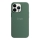 Купить Чехол Silicone Case with MagSafe для iPhone 13 Pro Max Eucaliptus